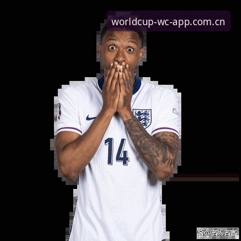 2026WC世界杯投注入口的5大核心选择标准：专业玩家必看的平台评估指南