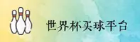 世界杯买球App(WC)官网 - 正版下载平台
