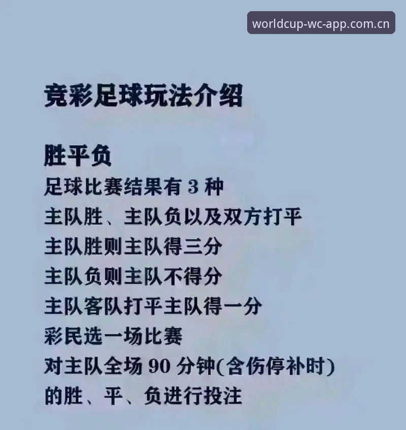世界杯买球App入口2026最新版本深度分析：技术升级与用户体验全面解析